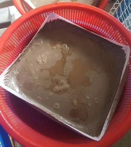 8x Việt ở Hàn chia sẻ cách làm nước mắm 1 lần ăn dần cả năm, đang nghỉ dài các mẹ tranh thủ làm ngay nhé!