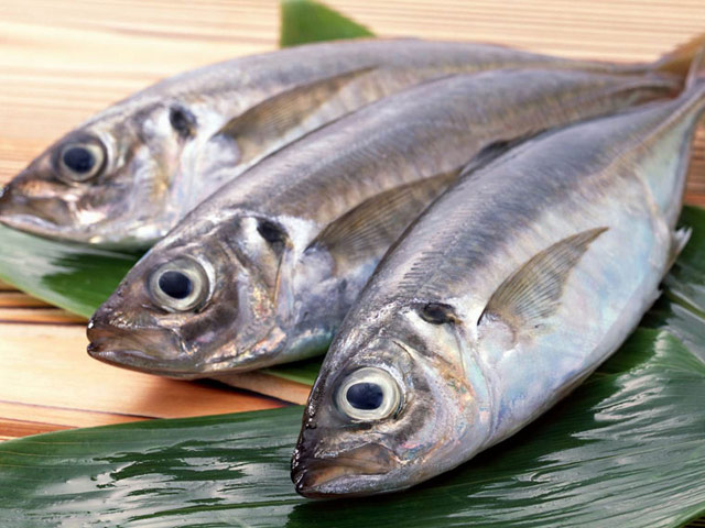 Bộ phận nào của cá dễ bị nhiễm độc nhất?