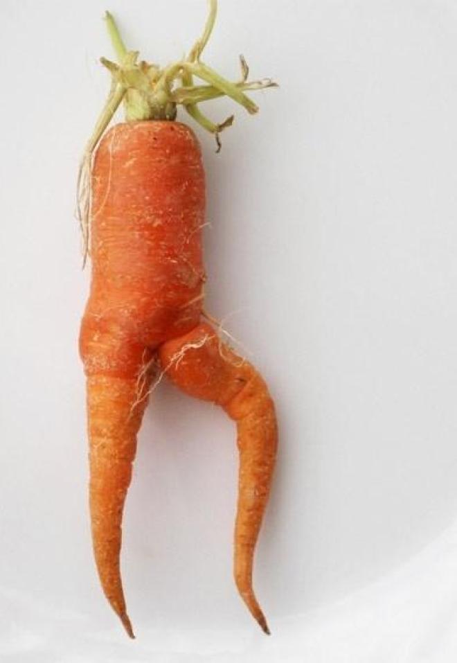 Bộ sưu tập những củ cà rốt có 'đôi chân dài' miên man khiến hội chị em ao ước