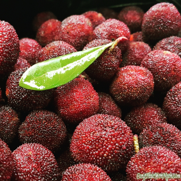 Bốn loại quả được ưa chuộng ngày đầu hè ở Hà Nội