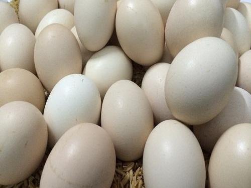 Các loại trứng gà được nhiều chị em săn lùng dù giá 'chát'