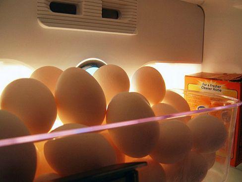 Cách bảo quản trứng được lâu ngày