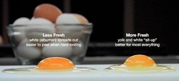 Cách dễ dàng để kiểm tra xem trứng có tươi hay không