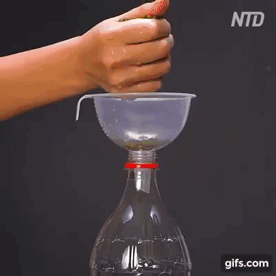 Cách làm giá đỗ bằng cách tận dụng chai nhựa