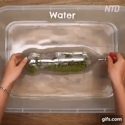 Cách làm giá đỗ bằng cách tận dụng chai nhựa