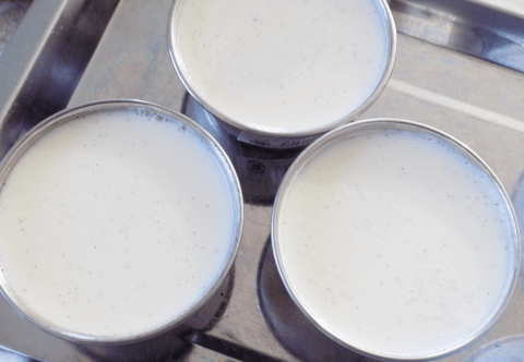 Cách làm Pudding sữa chua ngon hoàn hảo