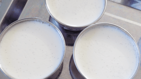 Cách làm pudding sữa chua ngon hoàn hảo mẹ nào áp dụng cũng thành công...