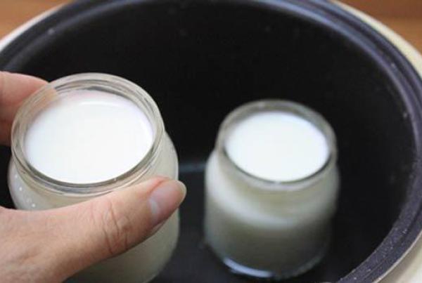 Cách làm sữa chua bằng sữa ông thọ ngon cực đơn giản tại nhà