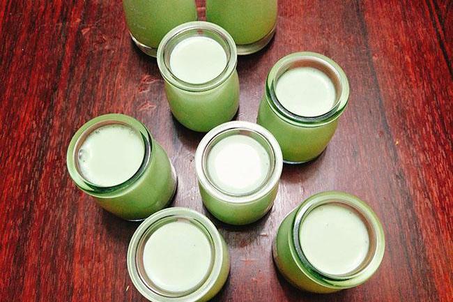 Cách làm sữa chua lá dứa thơm mát cực hấp dẫn cho mùa hè