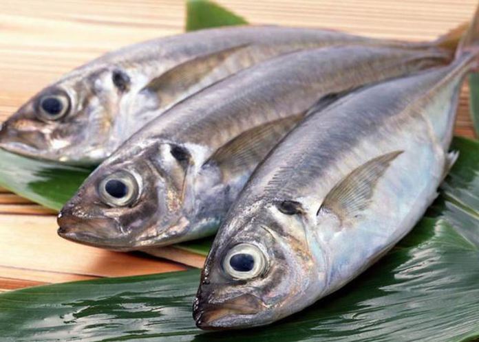 Chuyên gia dinh dưỡng lý giải vì sao ăn cá biển, tốt nhất đừng ham... cá to