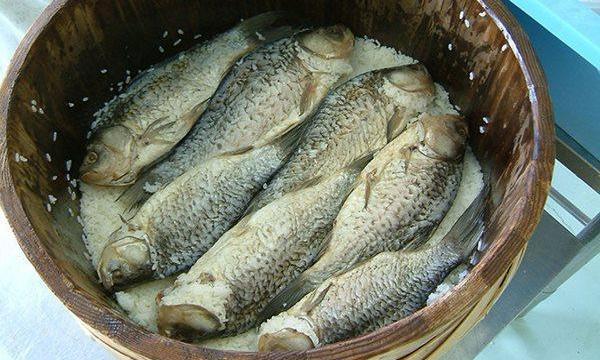 Chuyện lạ: Người Nhật chịu chơi bỏ cả triệu đồng để mua cá thối về ăn