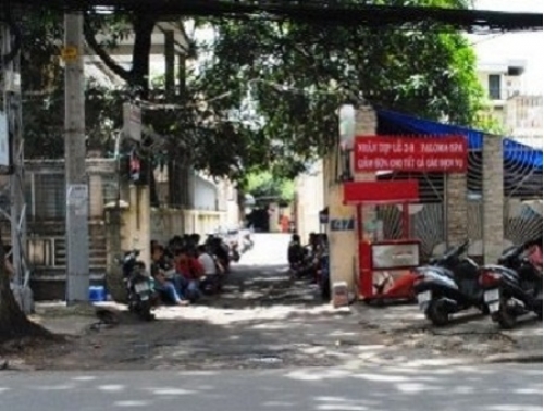 Hẻm Trịnh Công Sơn giữa Sài thành