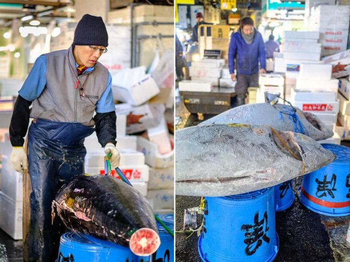 Khu chợ bình dân nhưng bán cá giá triệu USD ở Nhật Bản