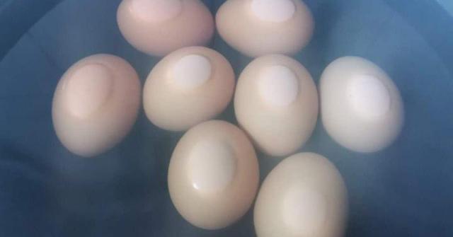 Lấy trứng ra từ tủ lạnh không luộc ngay, thêm một bước nữa trứng sẽ ngon mềm, vỏ dễ bóc