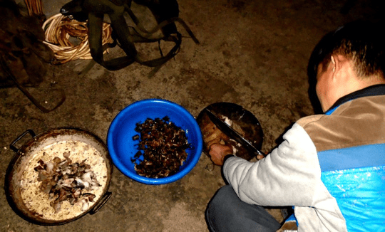 Lên Tả Phìn ăn… thịt chuột rừng gác bếp