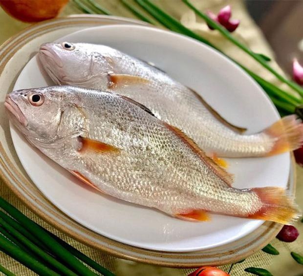 Loài cá từng bị chê lên chê xuống nay trở thành đặc sản xuất ngoại