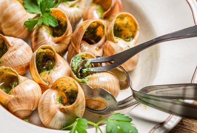 Loài ốc đáng sợ ở nước ta lại trở thành món ăn huyền thoại của ẩm thực Pháp