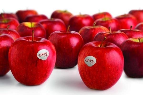 Mách bạn 6 mẹo chọn táo ngon, mọng nước giòn ngọt, không tẩm hóa chất
