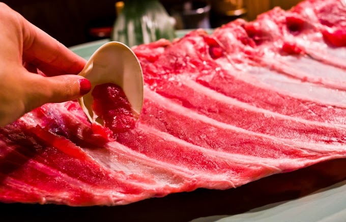 Maguro nakaochi - kiểu ăn không chừa một miếng thịt thừa của người Nhật