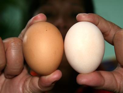 Mất 3 giây nhìn vào đặc điểm này của trứng gà: Biết ngay đâu là quả tươi, quả nào bị ngâm hóa chất, tẩy trắng