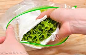 Mẹo bảo quản rau có lá tươi lâu trong tủ lạnh