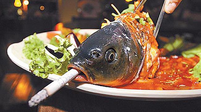 Món cá Âm Dương gây tranh cãi khi nửa sống nửa chết, bị cấm bán ở Đài Loan