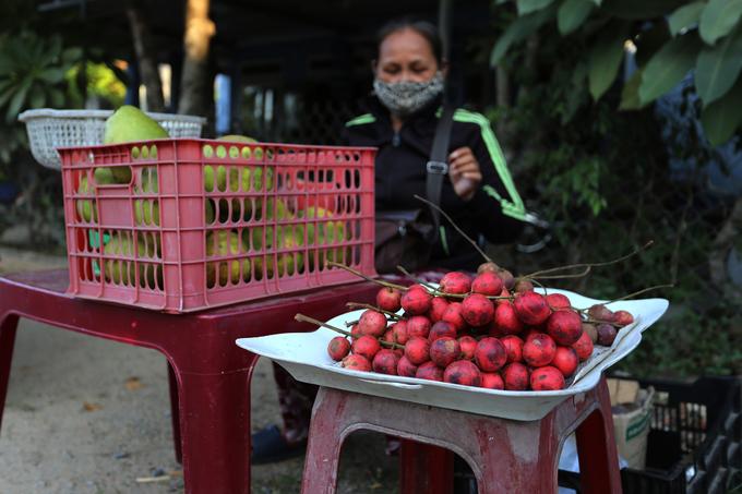 Mùa dâu đất chín đỏ ở Quảng Nam