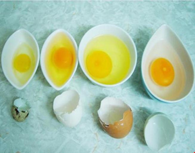 Những điều hữu ích nhất định phải biết khi ăn trứng