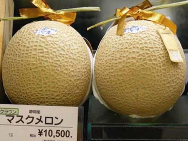 Những loại trái cây siêu đắt ở Nhật nhưng lại có giá rẻ ở Việt Nam