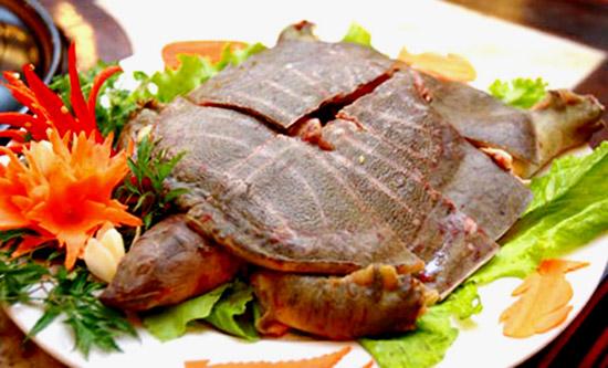 Những thực phẩm cấm kỵ ăn cùng lươn và ba ba