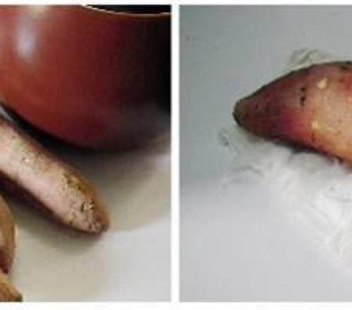 Nướng khoai lang trong nồi đất: Cách hay để khoai vừa ngon lại không lem tay!
