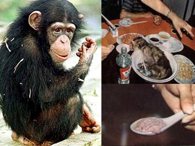 Óc khỉ tươi, món ăn tàn bạo khiến ai cũng thấy ghê sợ
