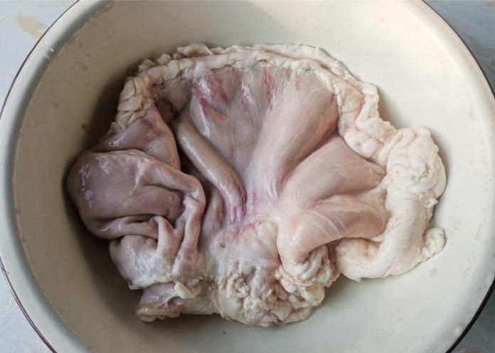 Rửa dạ dày lợn chỉ dùng muối và giấm chưa đủ, thêm thứ này sạch bong lại an toàn