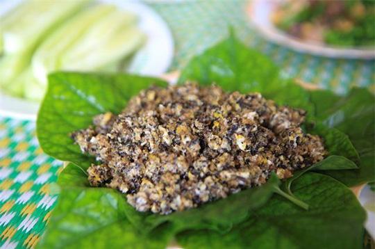 Săn trứng kiến làm món ăn đặc sản ở ngoại thành Hà Nội