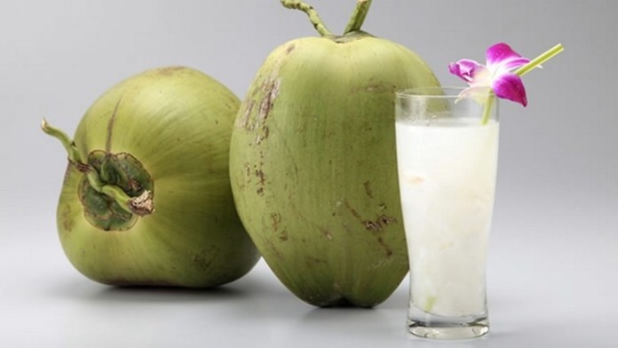 Sinh tố sữa dừa: Thức uống kết hợp lý tưởng cho sức khoẻ ngày nắng