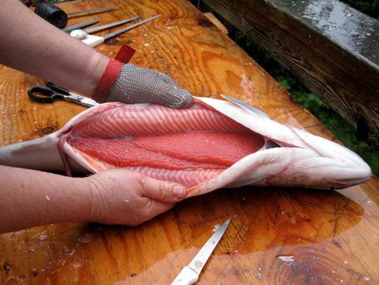 Tận mắt xem sản xuất đặc sản trứng cá hồi của Nga
