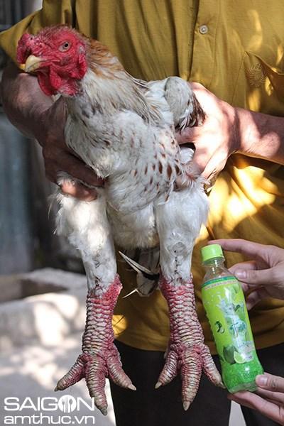 Thưởng thức phở gà Đông Tảo tại Hà Nội