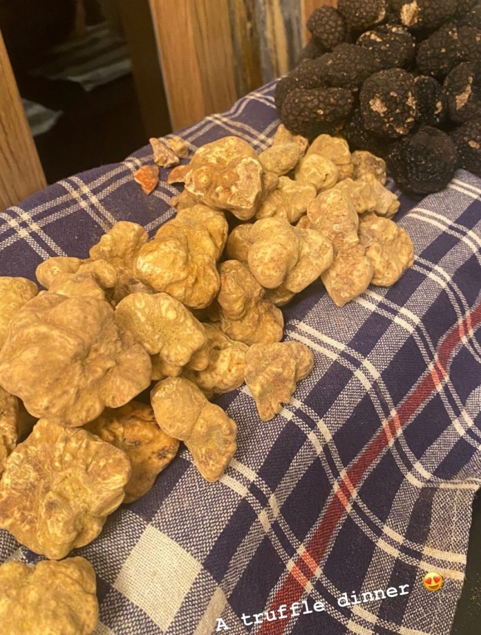 Tiên Nguyễn mê ăn nấm đắt nhất thế giới