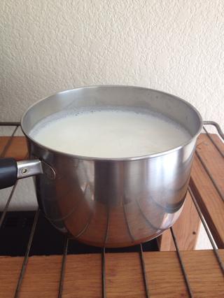 Tự làm sữa chua tại nhà chỉ với 2 nguyên liệu
