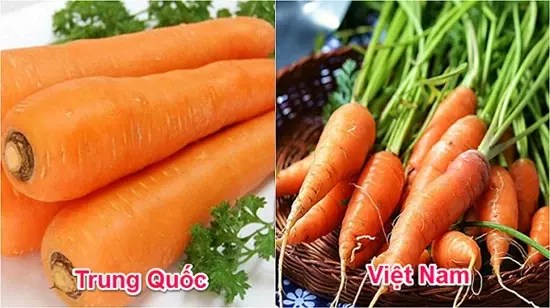 Tuyệt chiêu để phân biệt rau củ Trung Quốc và Việt Nam cho các bà nội trợ