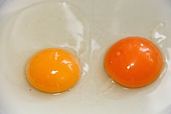 Có phải lòng đỏ trứng càng sẫm màu càng bổ dưỡng? Chuyên gia chỉ ra 2 yếu tố