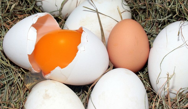 Có phải lòng đỏ trứng càng sẫm màu càng bổ dưỡng? Chuyên gia chỉ ra 2 yếu tố