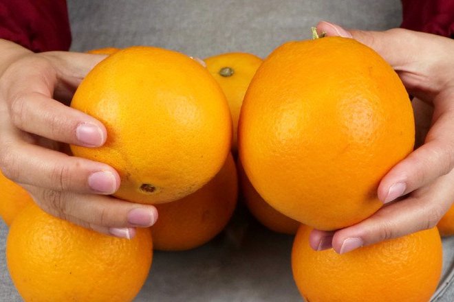 Mua cam đường chọn quả vỏ sần hay nhẵn thì ngọt, người trồng mách 4 mẹo cực hay