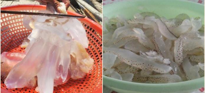 8 cách làm gỏi sứa thập cẩm, xoài, bắp chuối giòn ngon, thanh mát