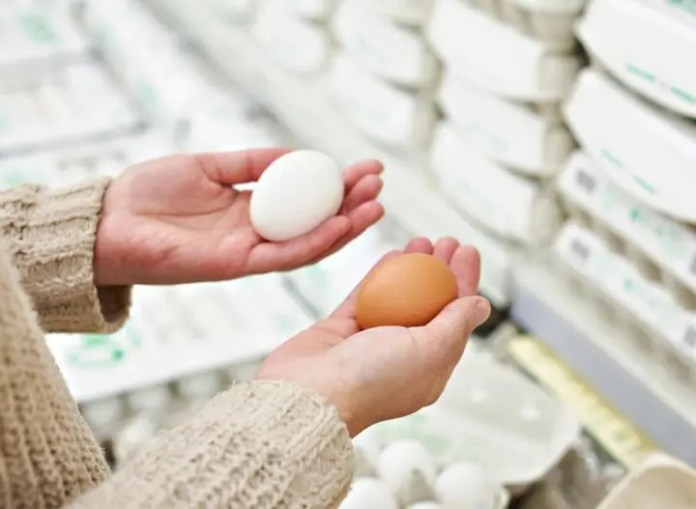 Trứng gà vỏ trắng và vỏ nâu, loại nào bổ dưỡng hơn?