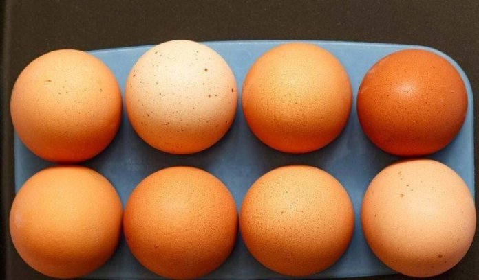 Trứng mua về bỏ ngay vào tủ lạnh là quá dại, nhớ kỹ 3 KHÔNG để cả năm không sợ ung hỏng