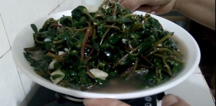 Món ngon từ rau dại (1): Loại rau ví như ‘cỏ trường thọ’ có nhiều vào mùa mưa, chế biến được nhiều món ăn rất ngon và bổ